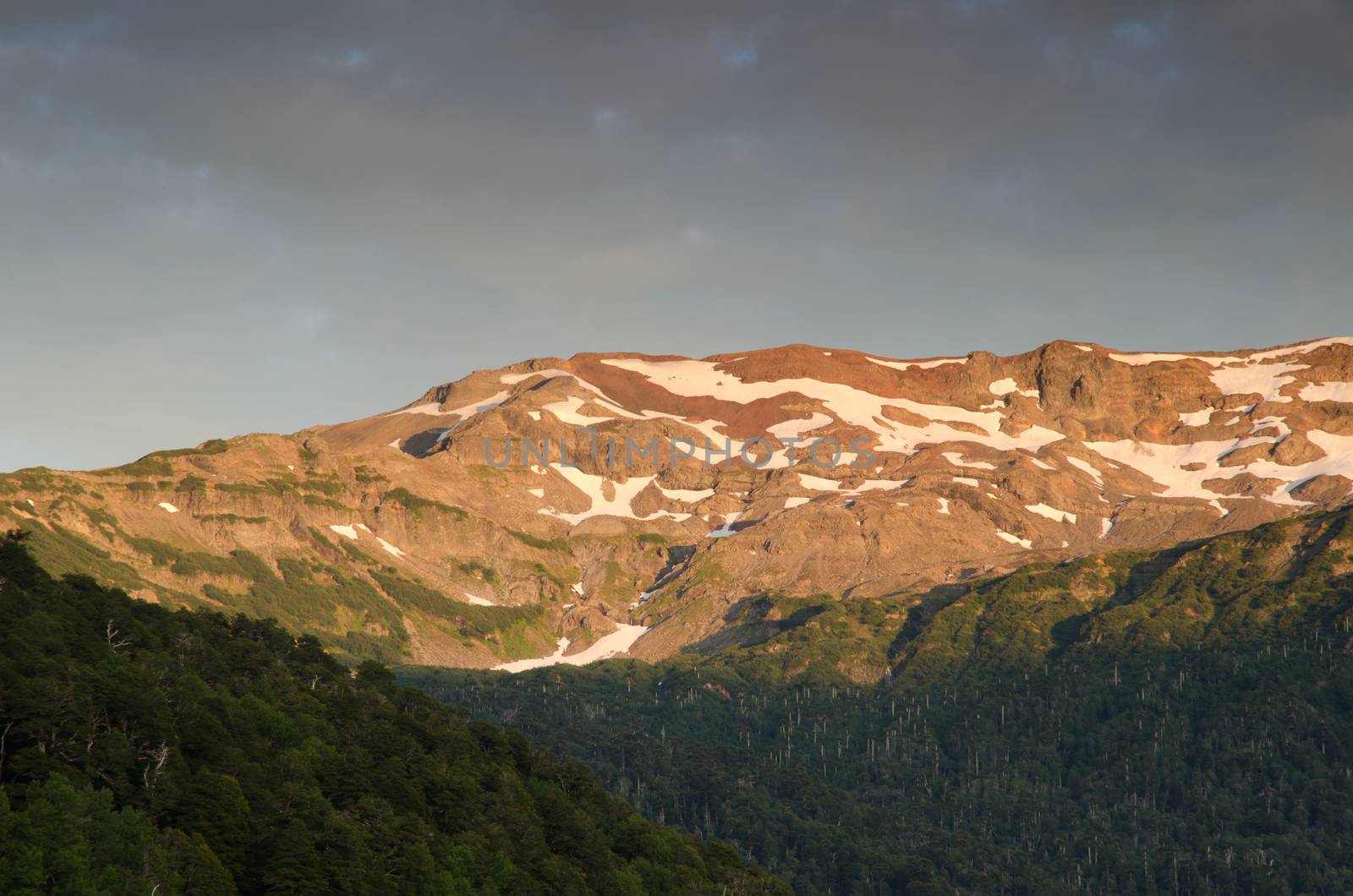 Mountain range and forest in the Conguillio National Park. Araucania Region. Chile.