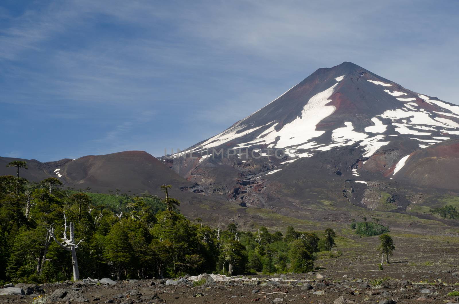 Llaima volcano in the Conguillio National Park. Araucania Region. Chile.