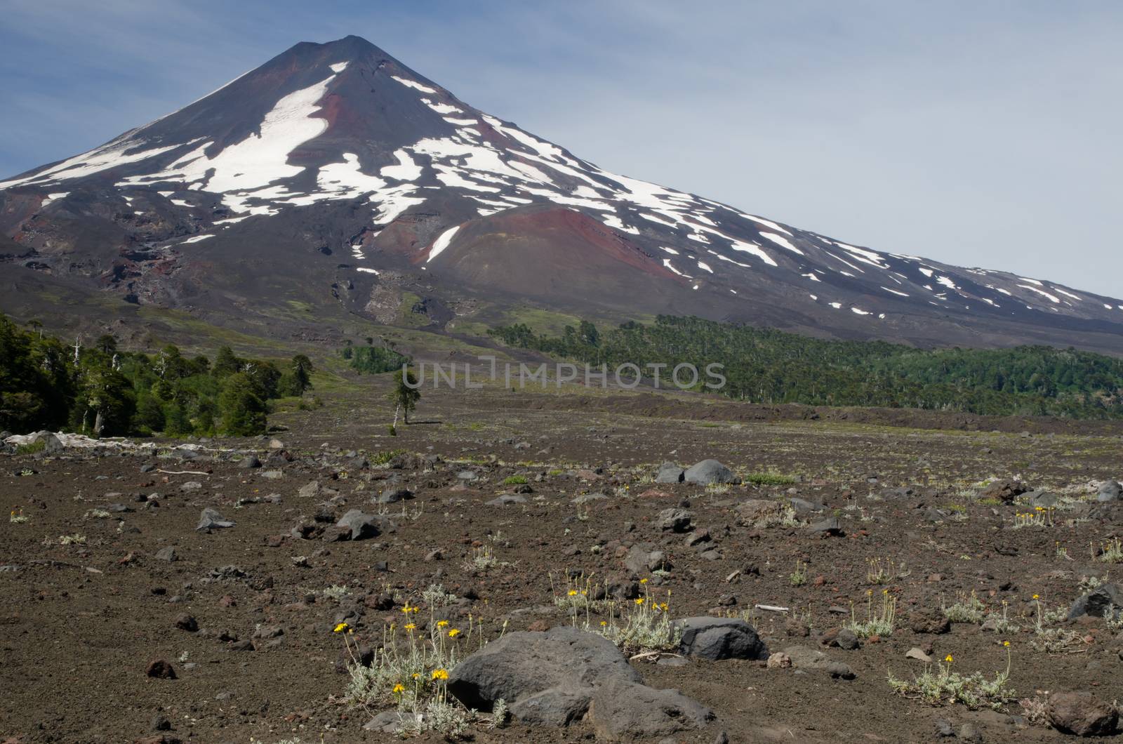 Llaima volcano in the Conguillio National Park. Araucania Region. Chile.