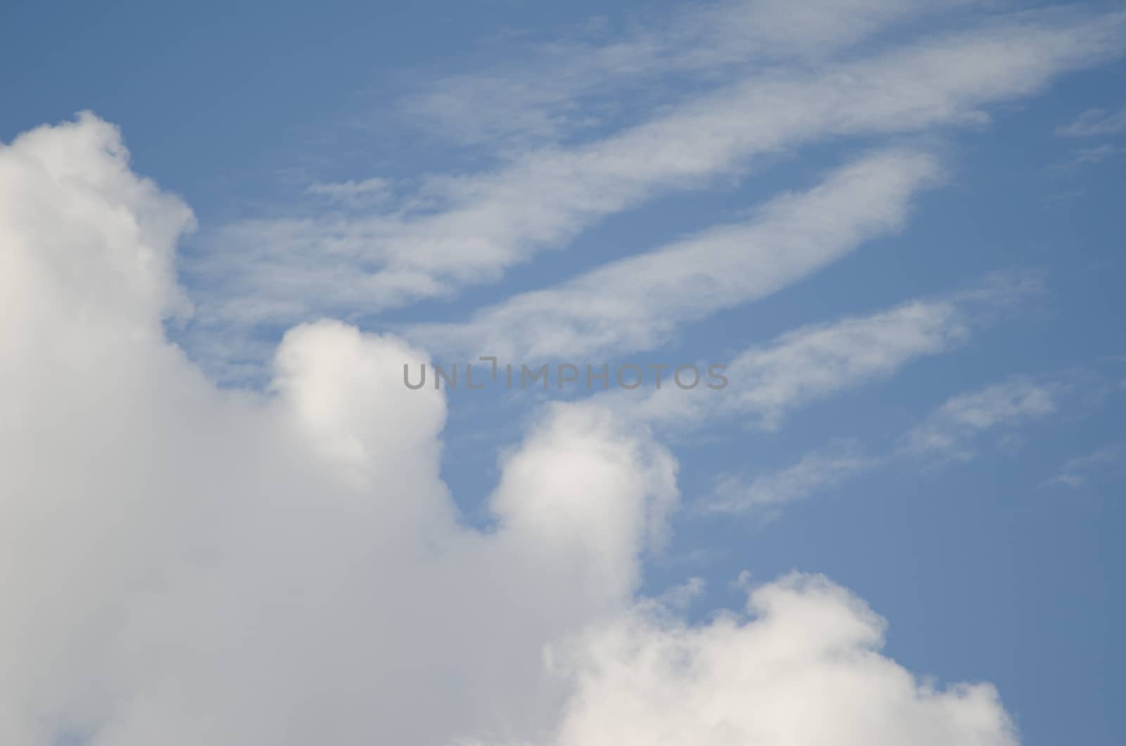 Cloudscape in the Conguillio National Park. Araucania Region. Chile.