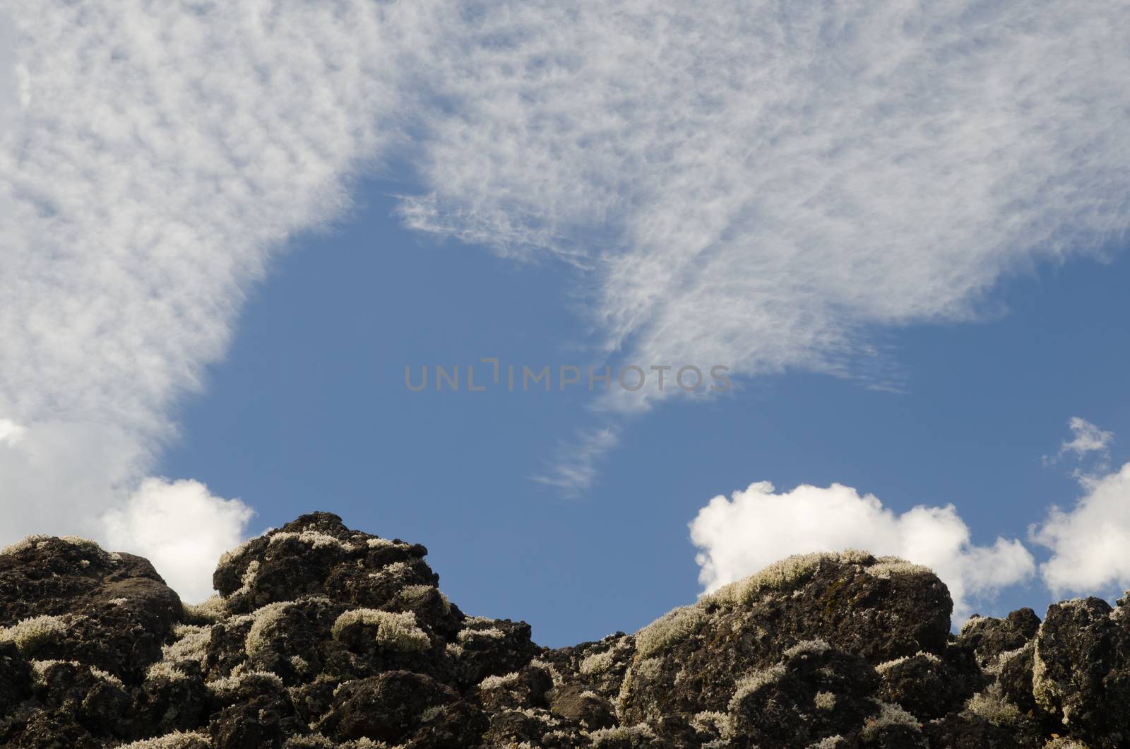 Field of solidified lava covered by lichens and clouds. Conguillio National Park. Araucania Region. Chile.