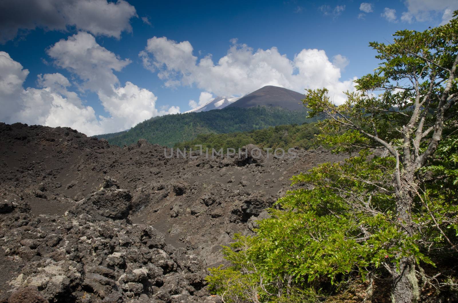 Solidified lava field and Llaima volcano covered by clouds. by VictorSuarez