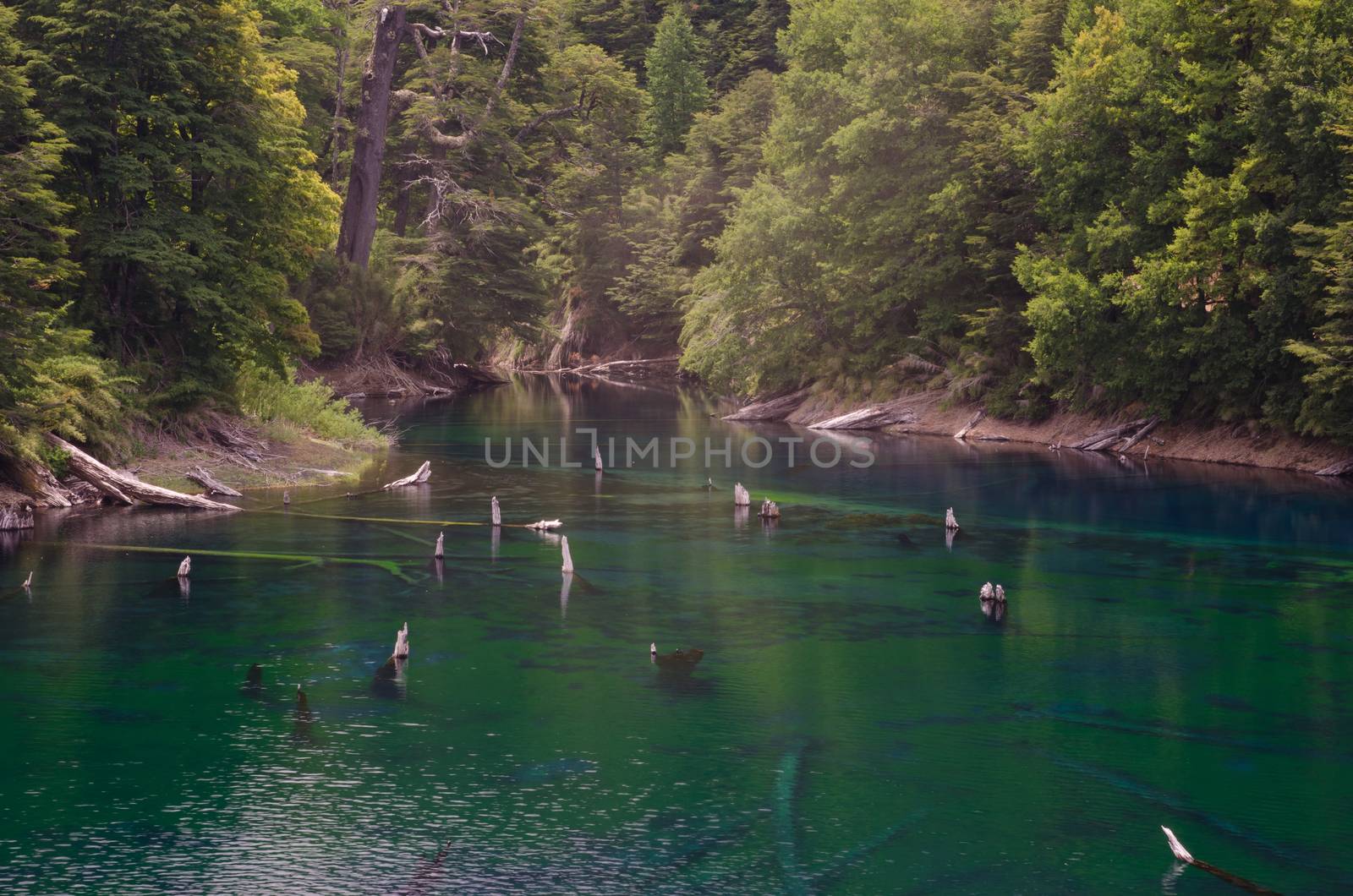 Arco Iris lagoon in the Conguillio National Park. by VictorSuarez