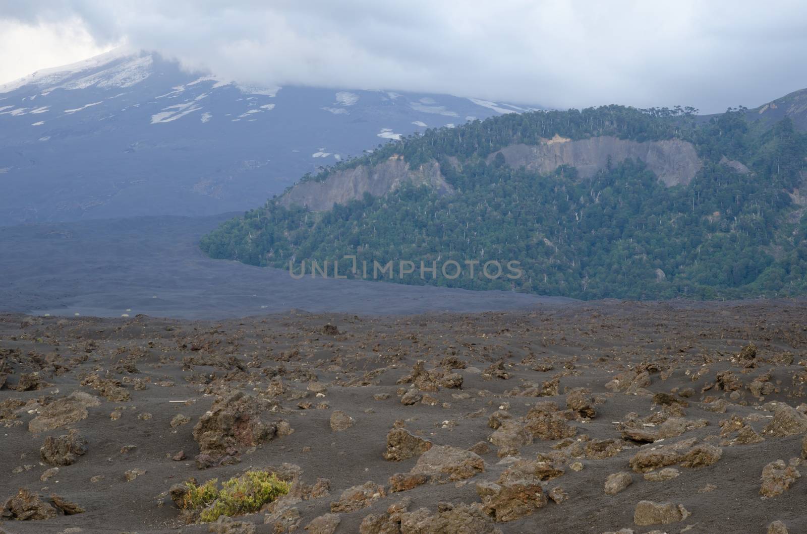 Field of solidified lava and Llaima volcano covered by clouds in the background. Conguillio National Park. Araucania Region. Chile.