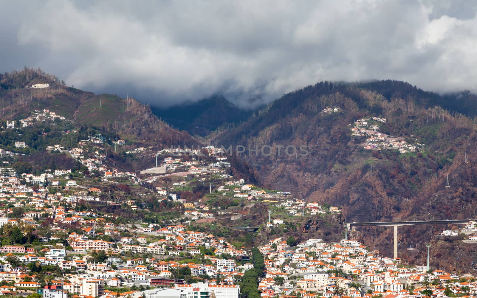 Funchal Hillside by ATGImages