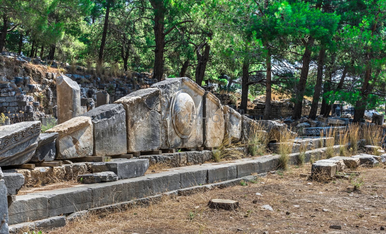 Ancient Greek city Priene on the western coast of Turkey by Multipedia