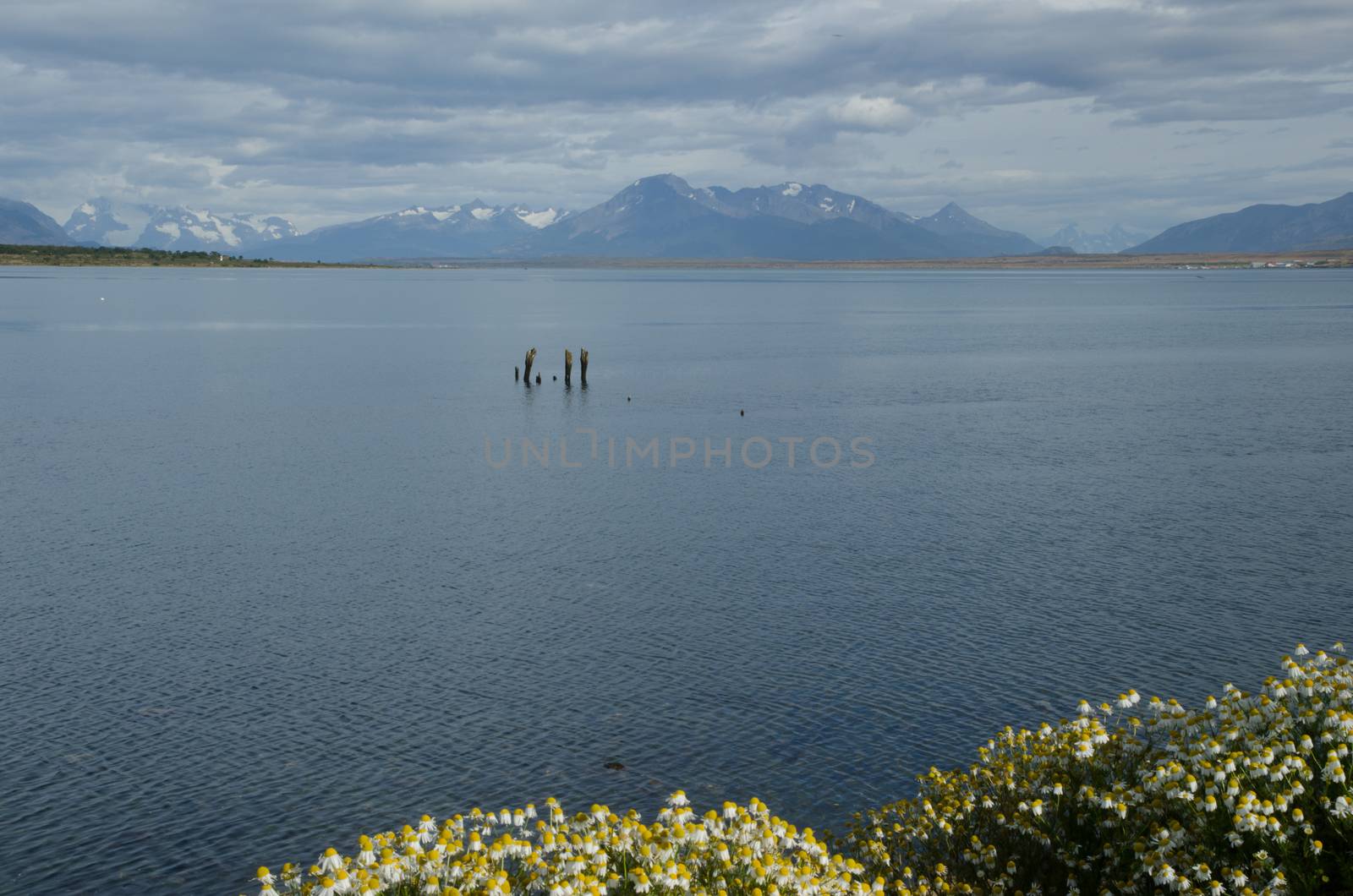 Ultima Esperanza Inlet and Sarmiento Mountain Range from Puerto Natales. Magellan and Chilean Antarctic Region. Chile.