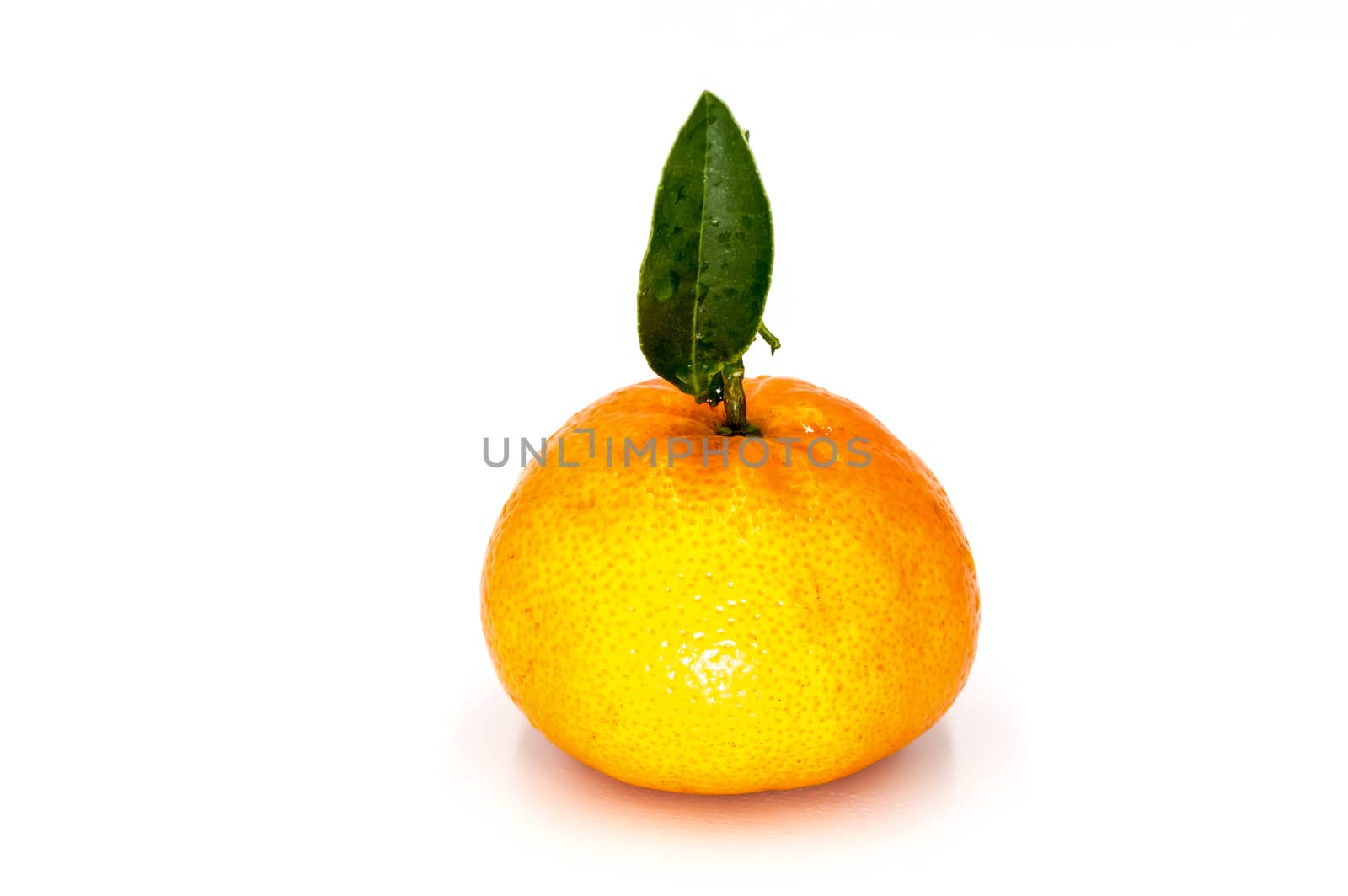 Ripe tangerine with leaves close-up on white background. Tangerine orange with leaves on white background.