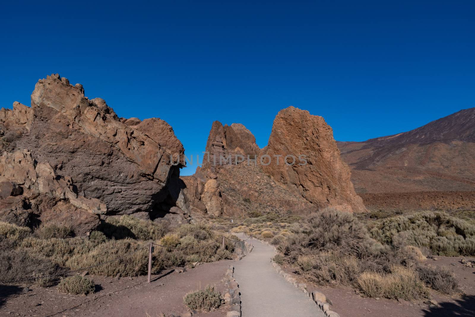 View of Roques de García unique rock formatio, Teide National Park, Tenerife, Canary Islands, Spain