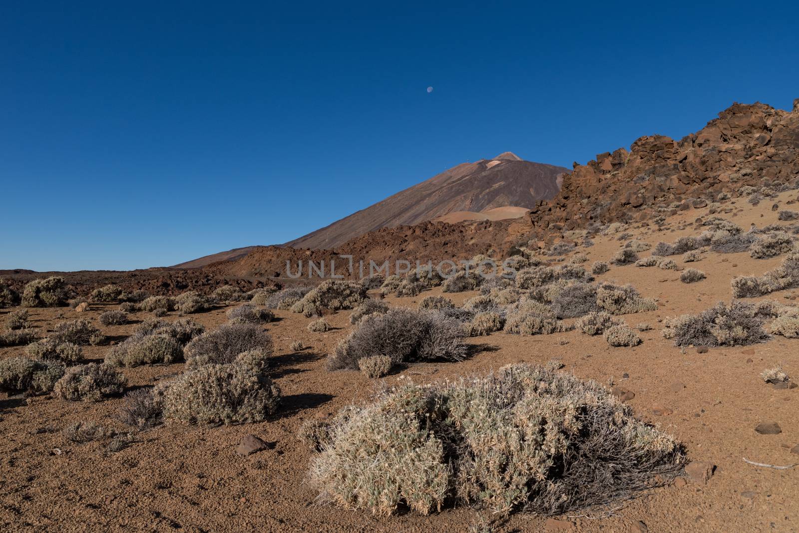 Martian landscape on the eastern slopes of Montana Blanca Mirado by Smoke666