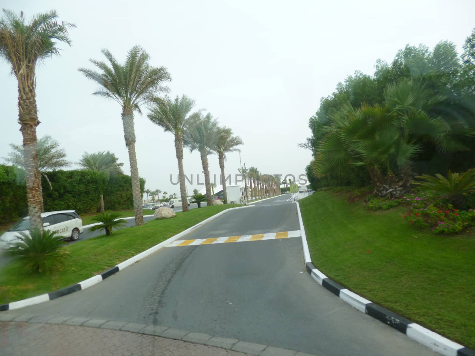 a street in Dubai by gswagh71