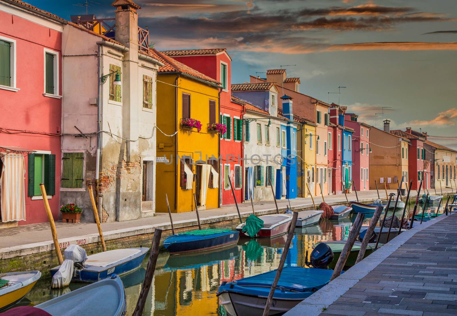 Yellow Home with Purple Flowers in Burano by dbvirago