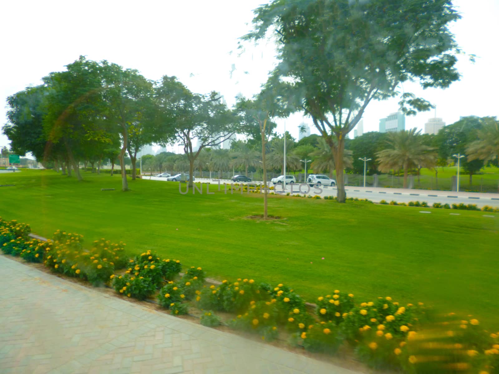 a park in dubai by gswagh71
