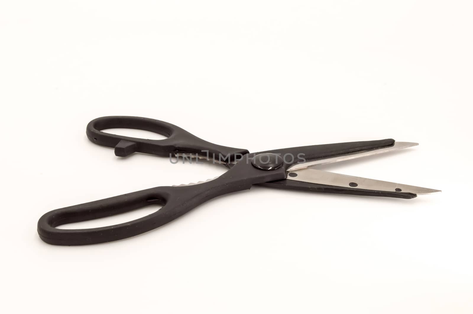 Kitchen scissor with a black handle, isolated on a white background
