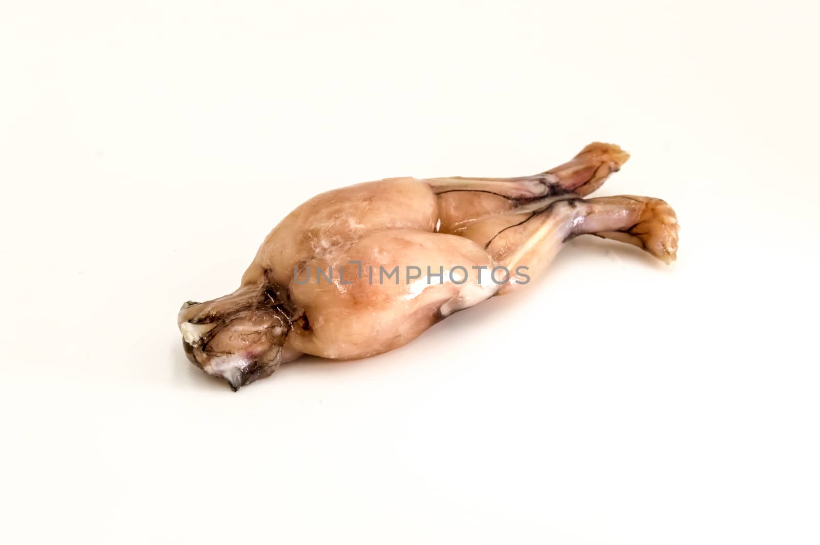 One legs of fresh frogs isolated on white background