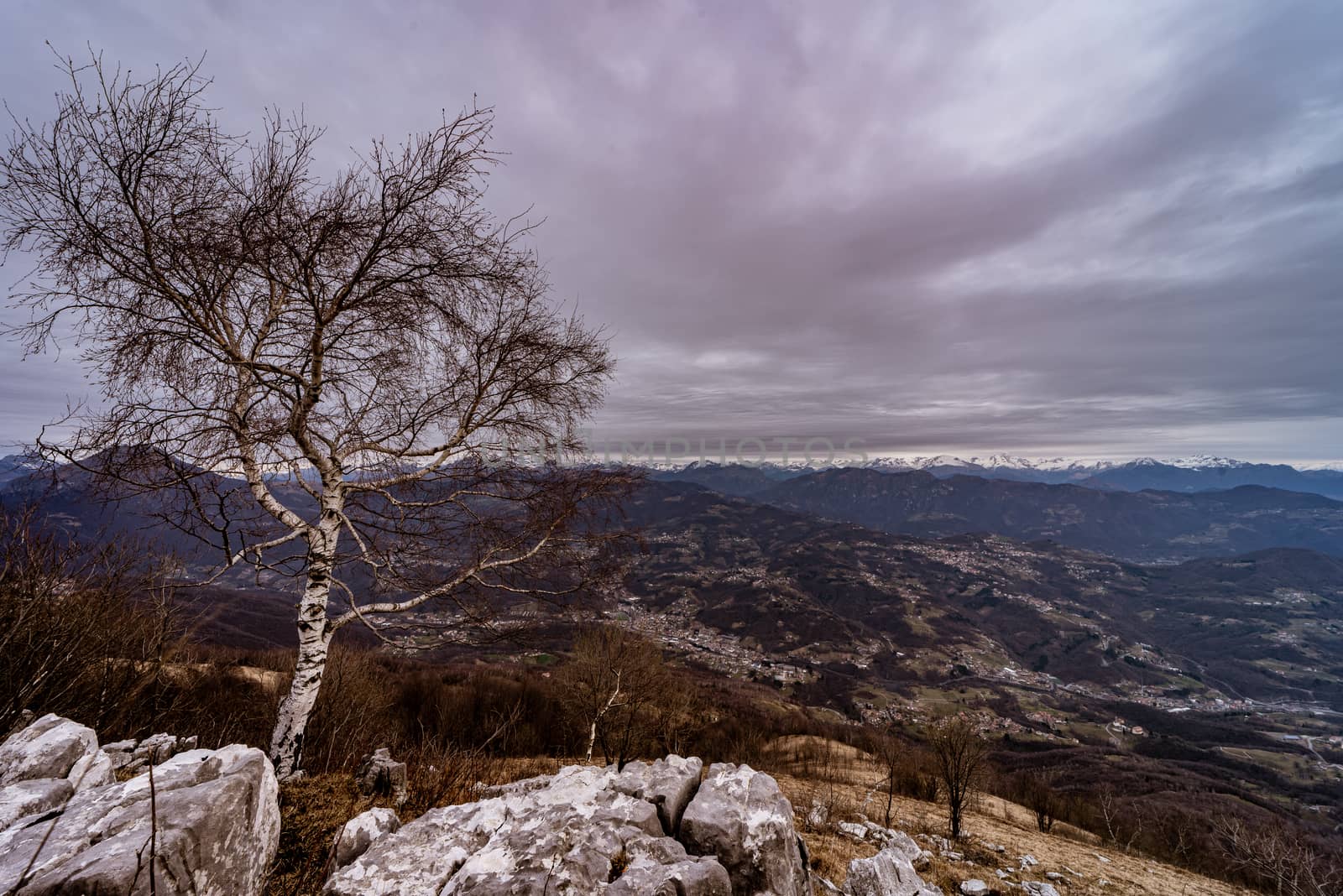 Mountain landscape with cloudy sky with tree in the foreground