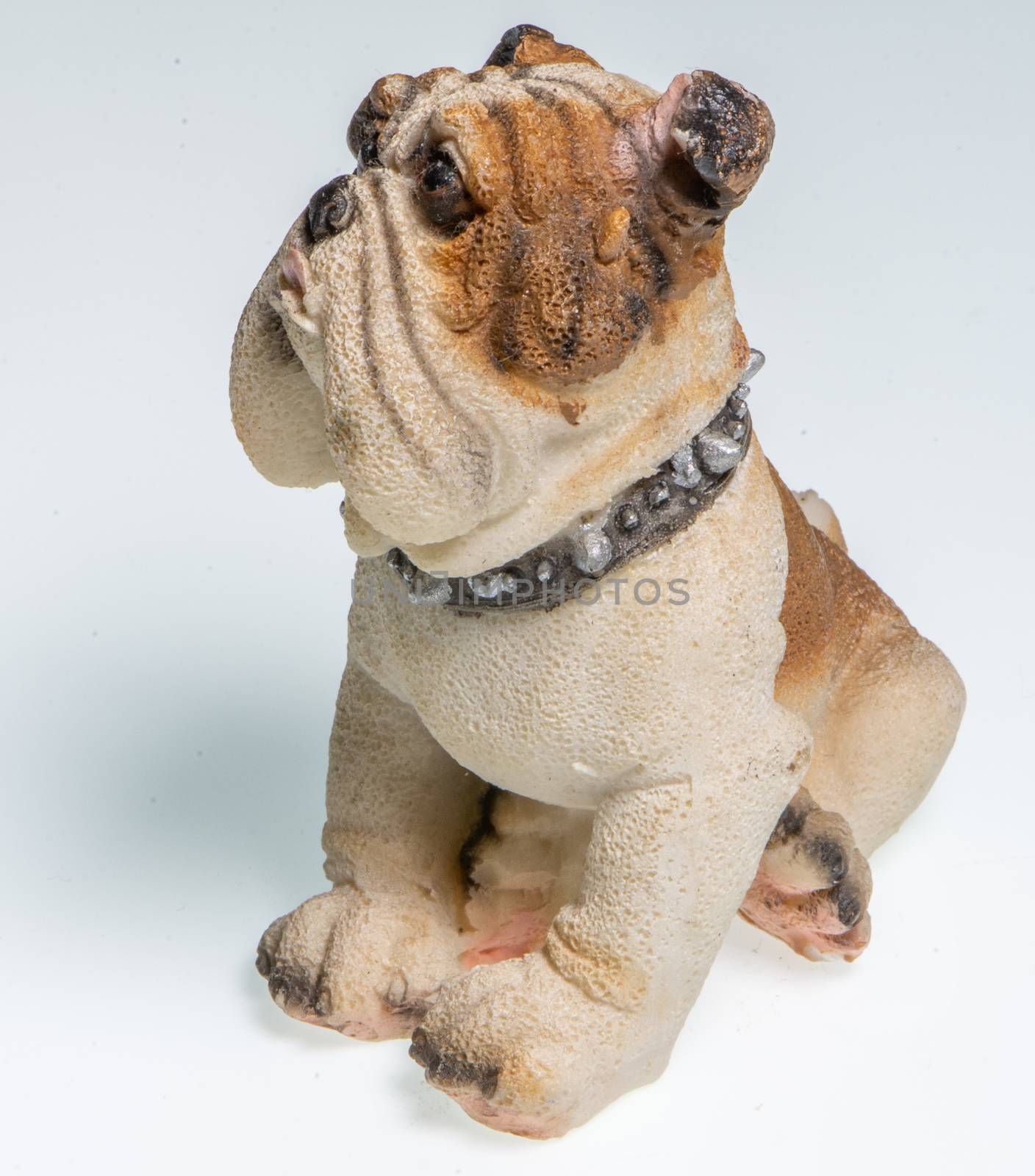 Miniature depicting an English Bulldog breed dog on a white background