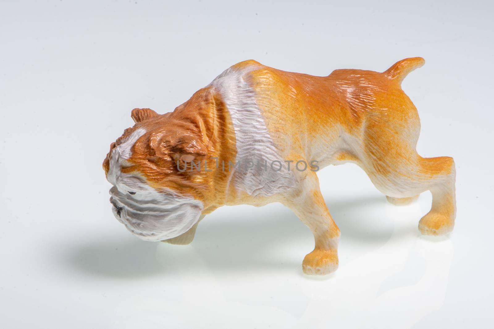 Miniature depicting an English Bulldog by brambillasimone