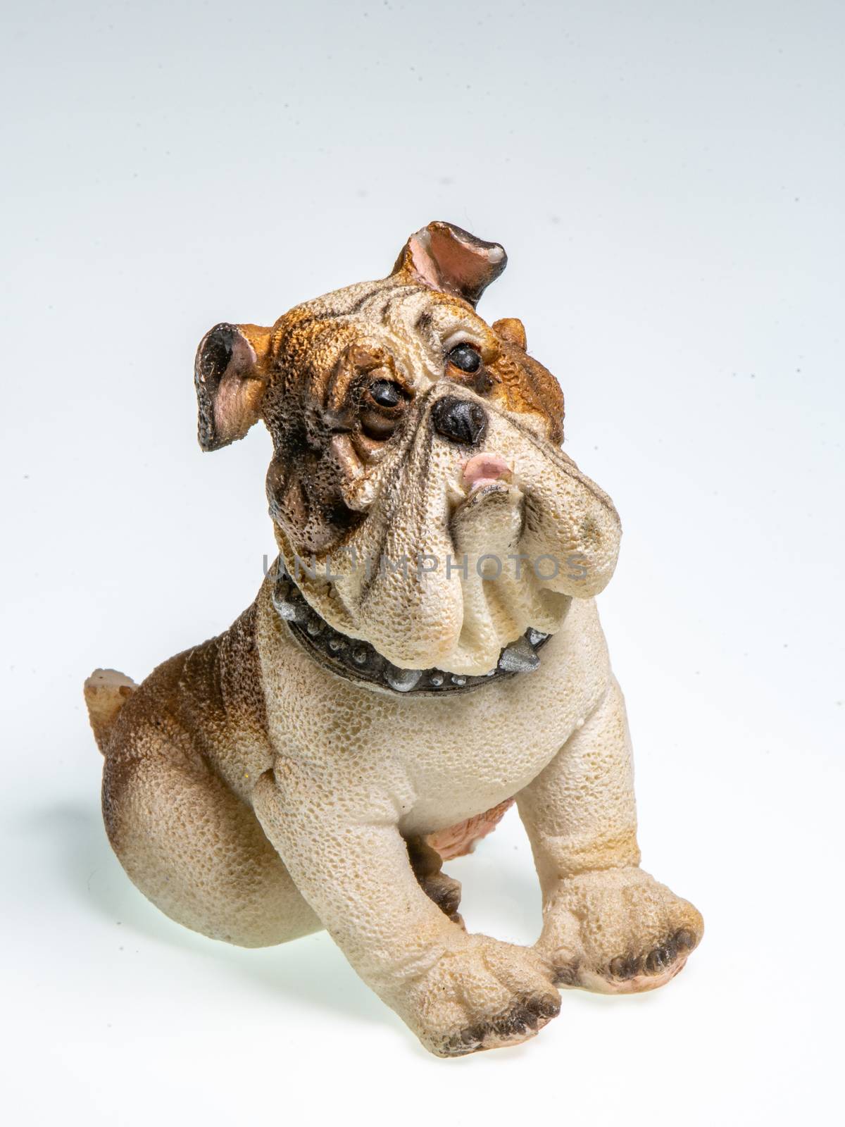 Miniature depicting an English Bulldog breed dog on a white background