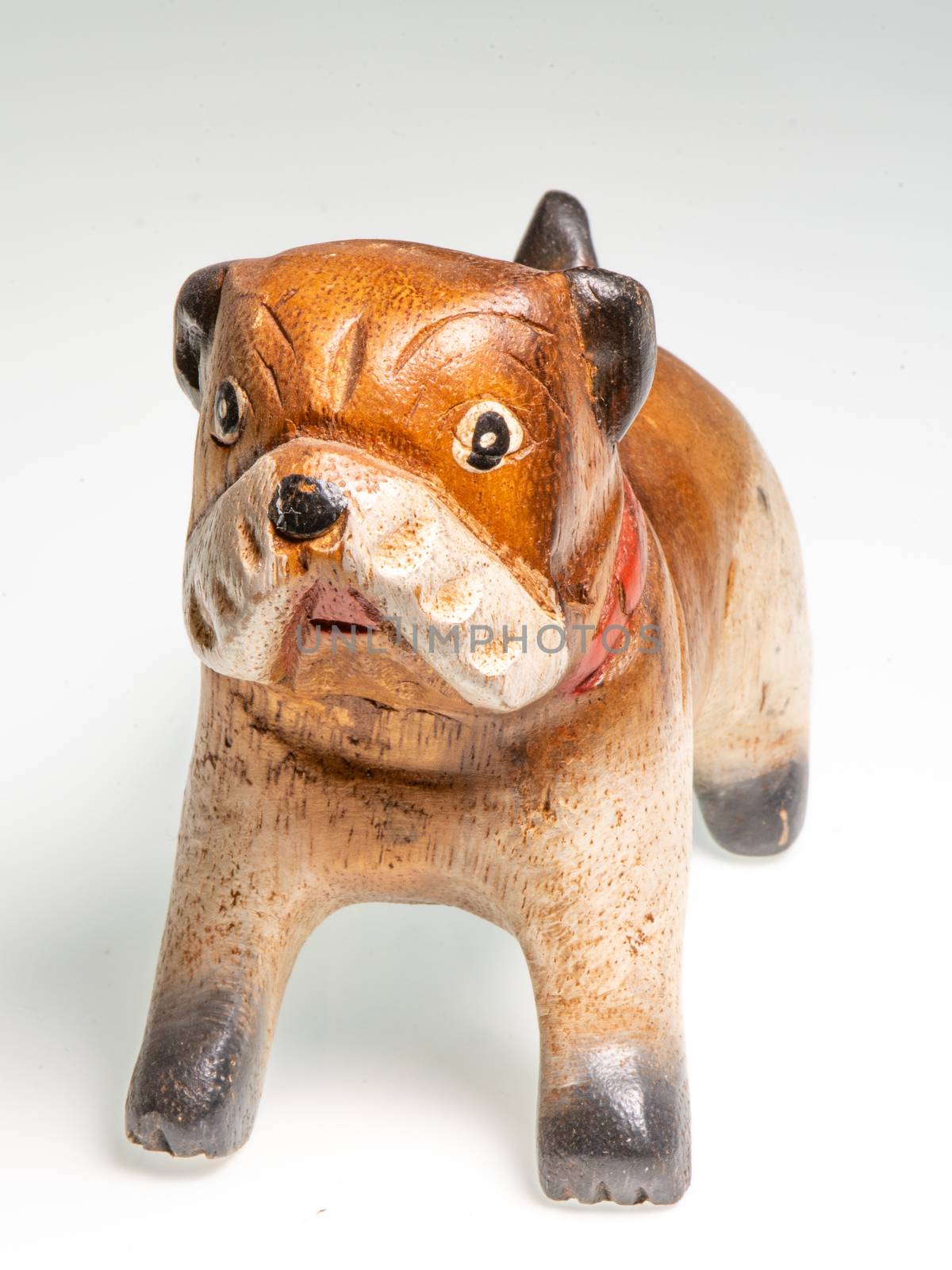 Miniature depicting an English Bulldog breed dog on a white background