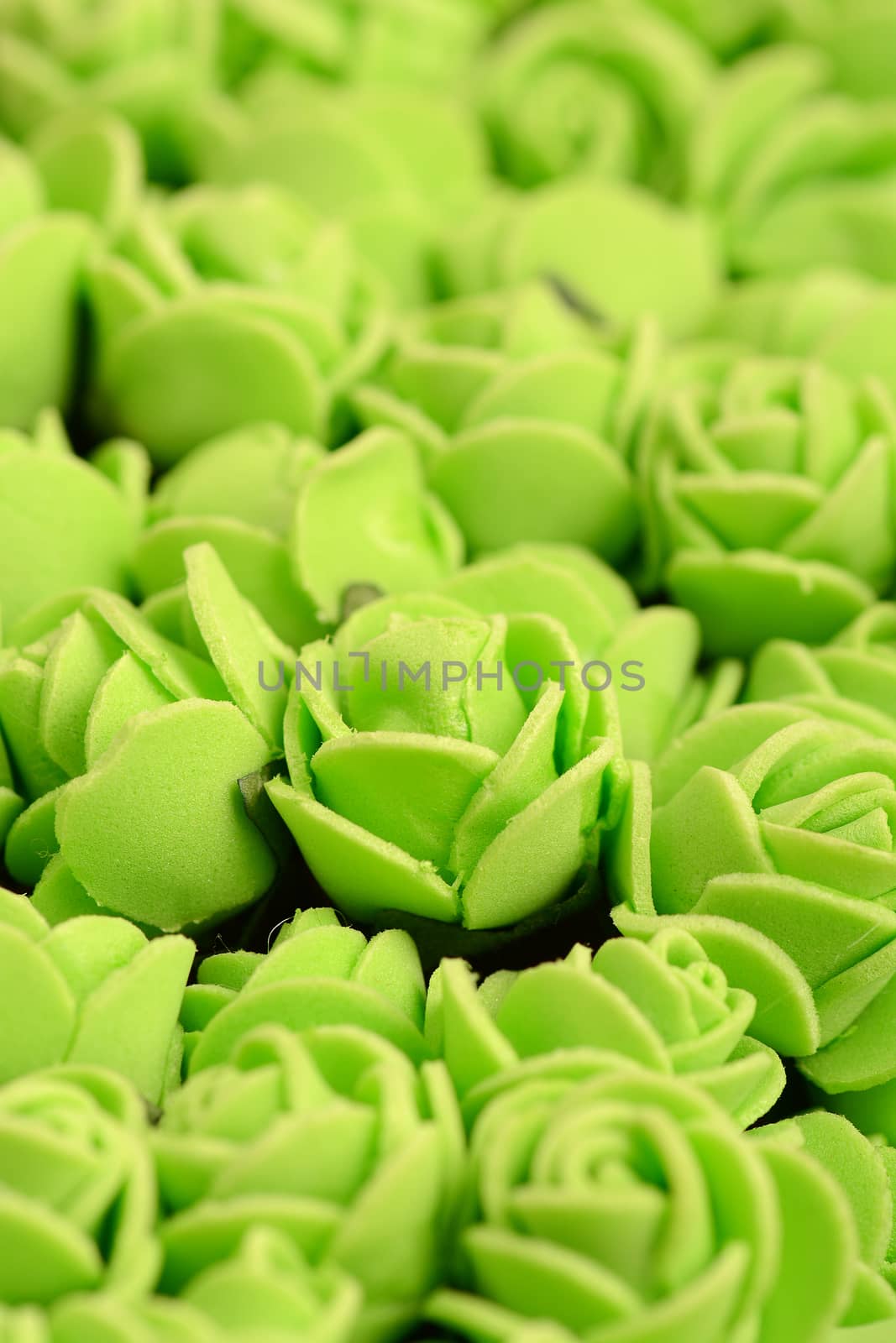 light green rose background, close up shot, valentine day concept. by fotoscool