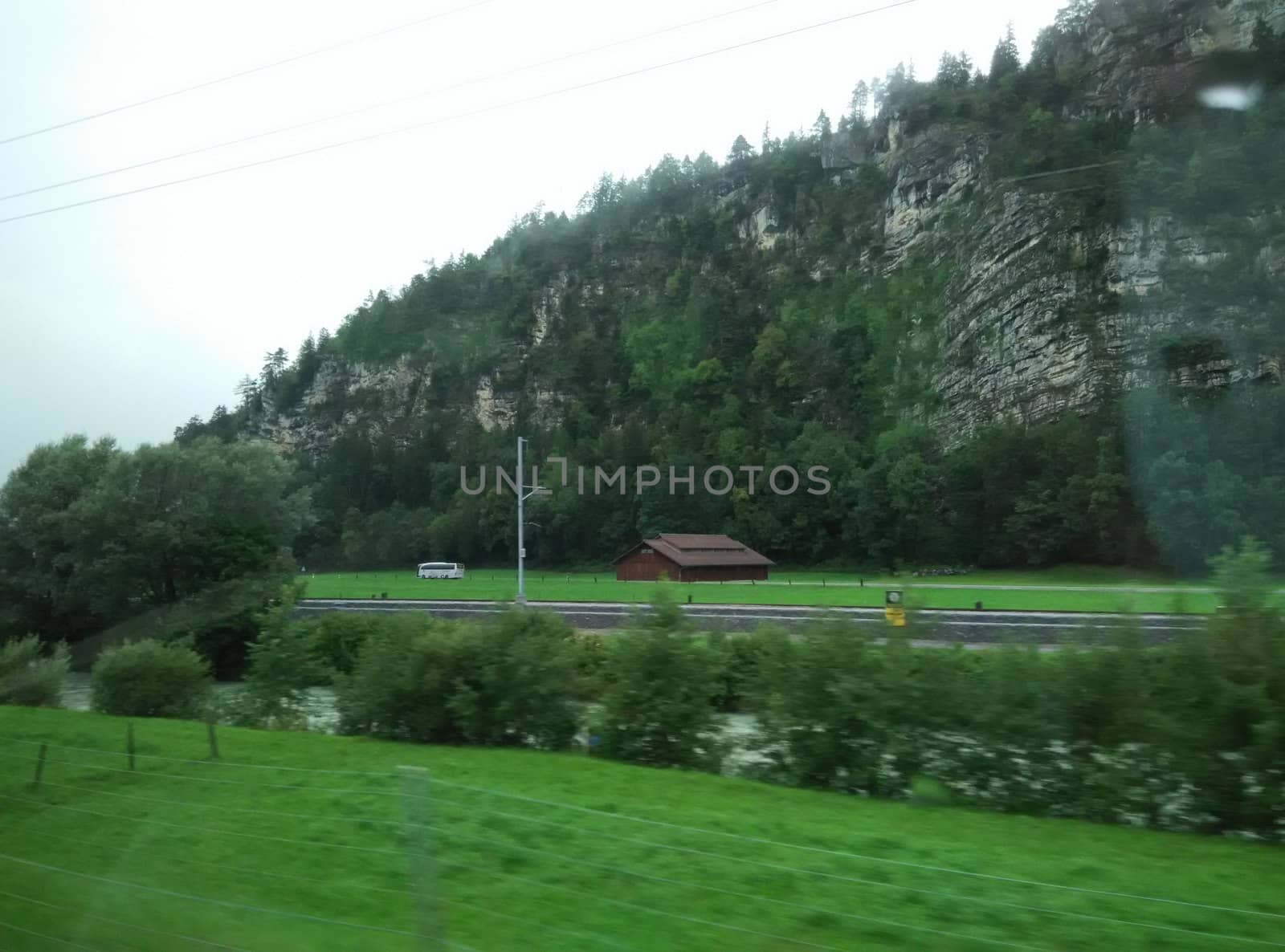 a view of a green meadow