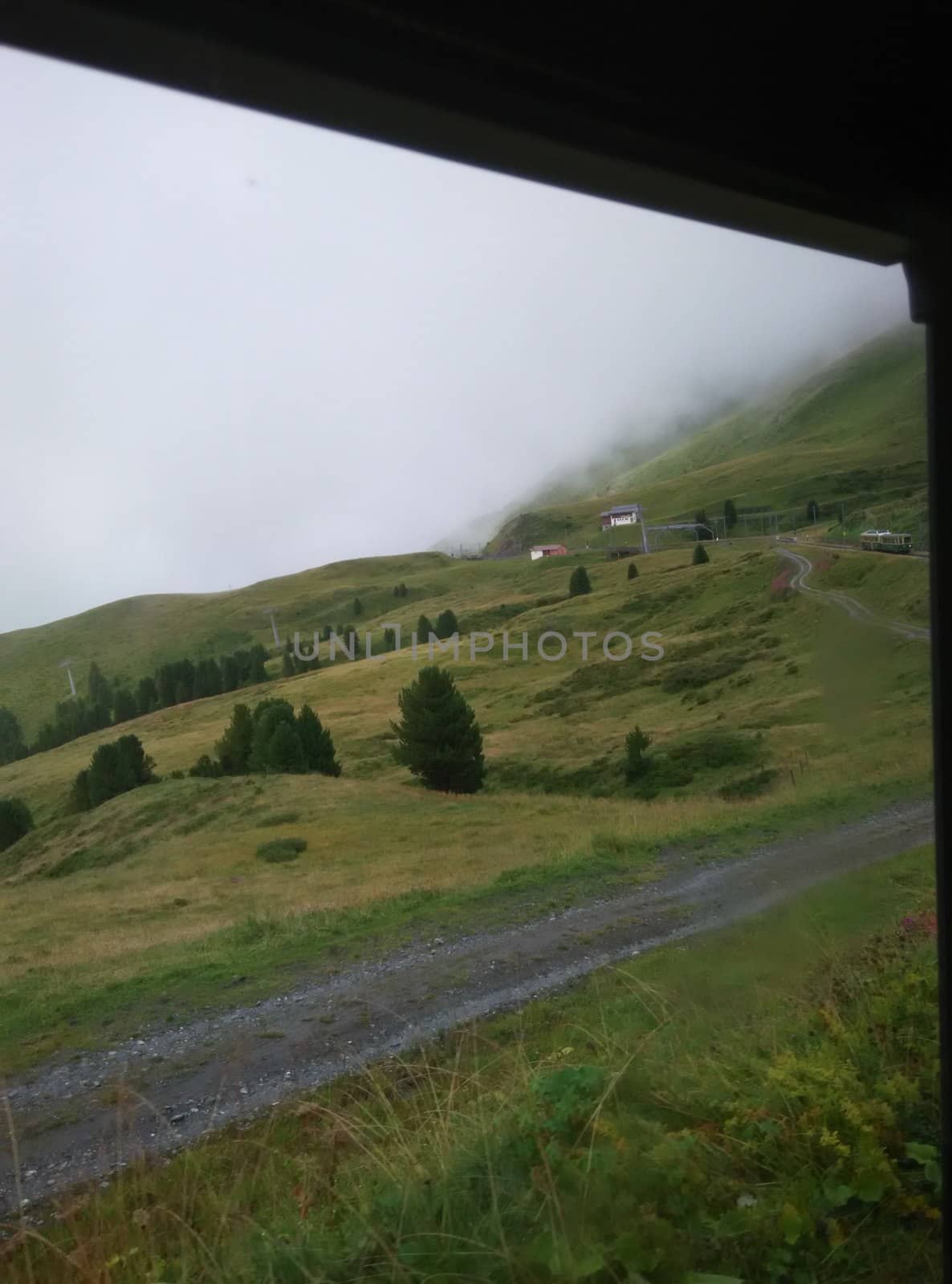 a side view of a meadow