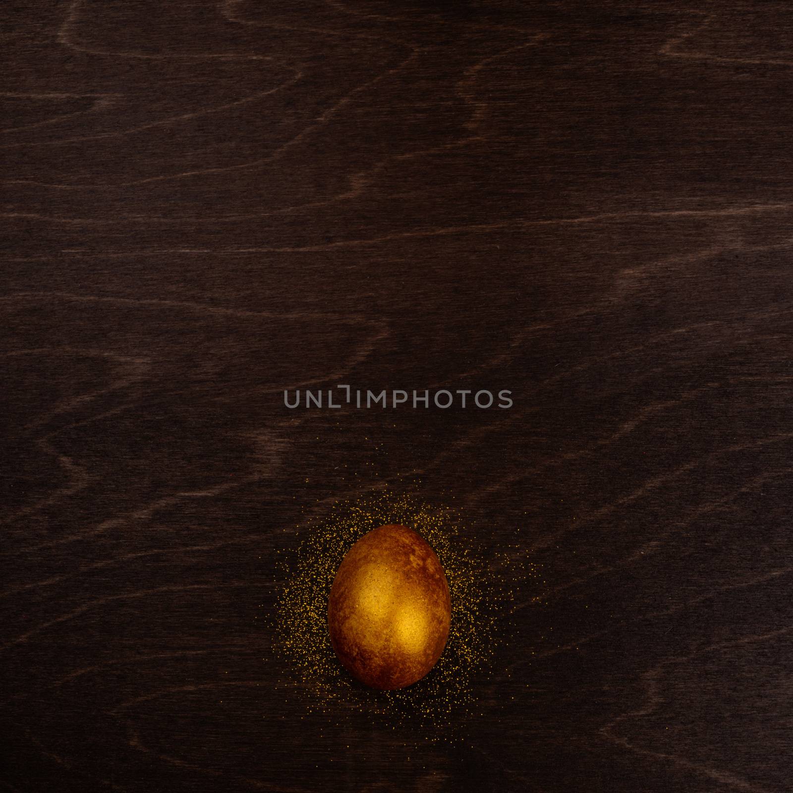 One big golden easter egg on dark wooden background copy space for text