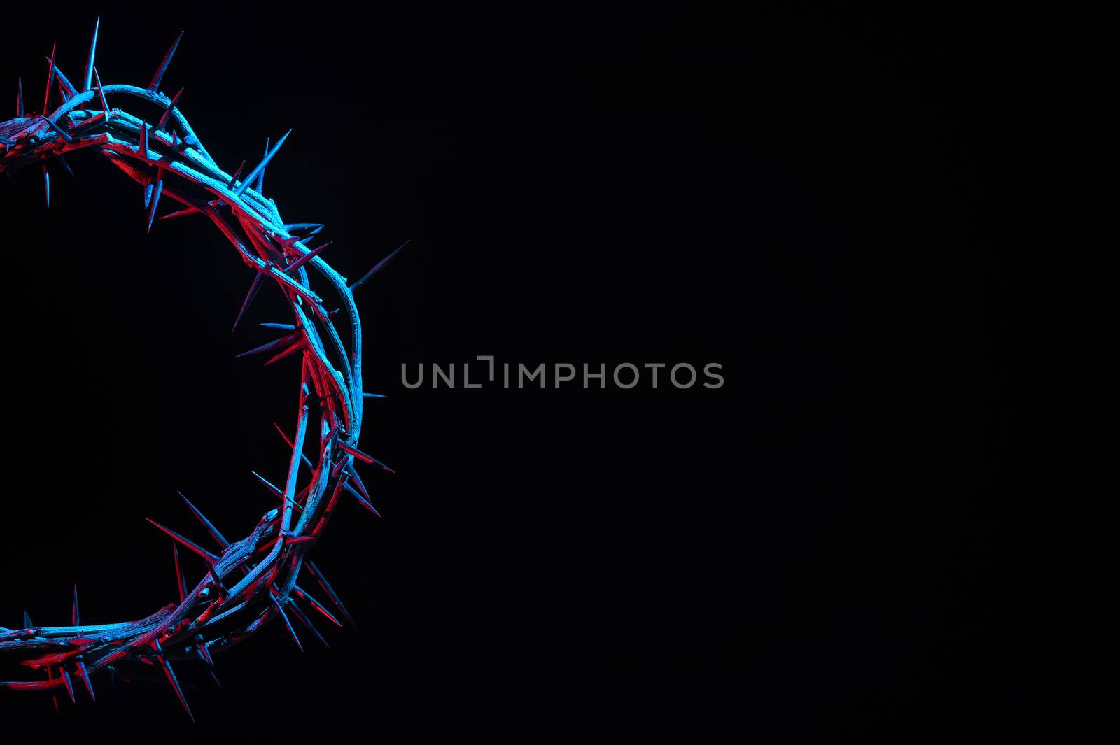 Crown Of Thorns On A Black Background by mady70