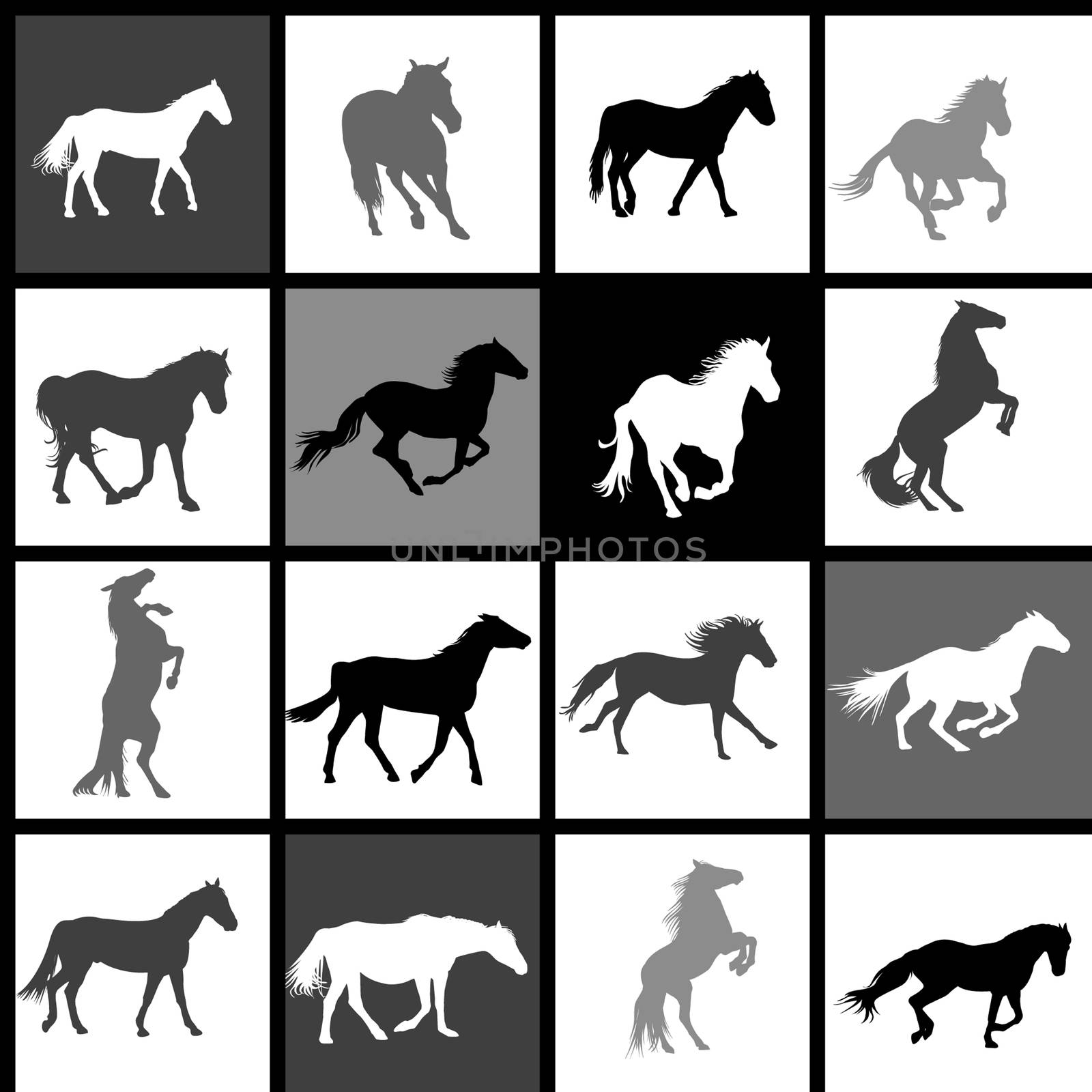 Set of 16 horses background.Each horse is grouped on separate ba by hibrida13