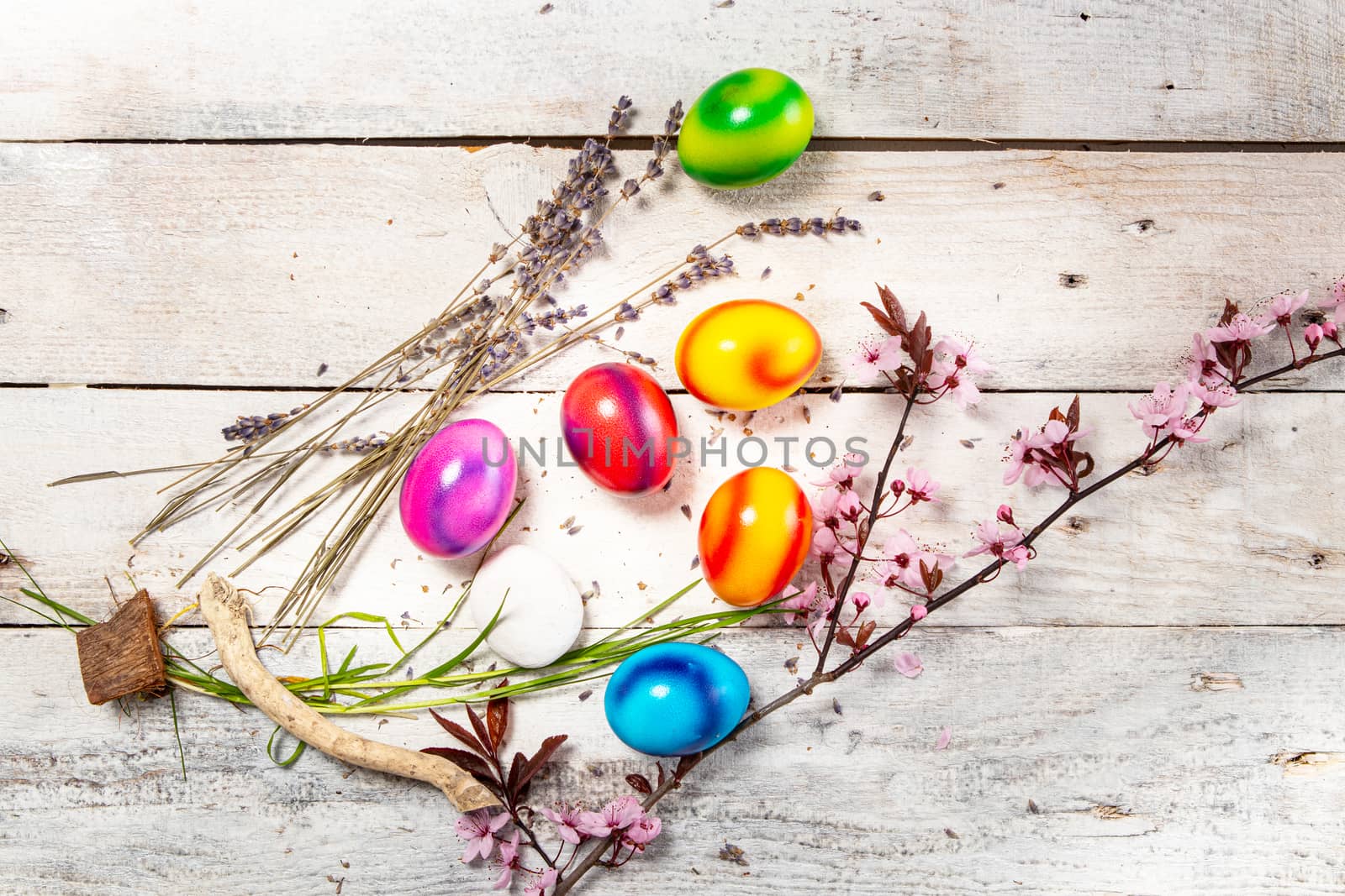 colored easter egg on wood background with copy space