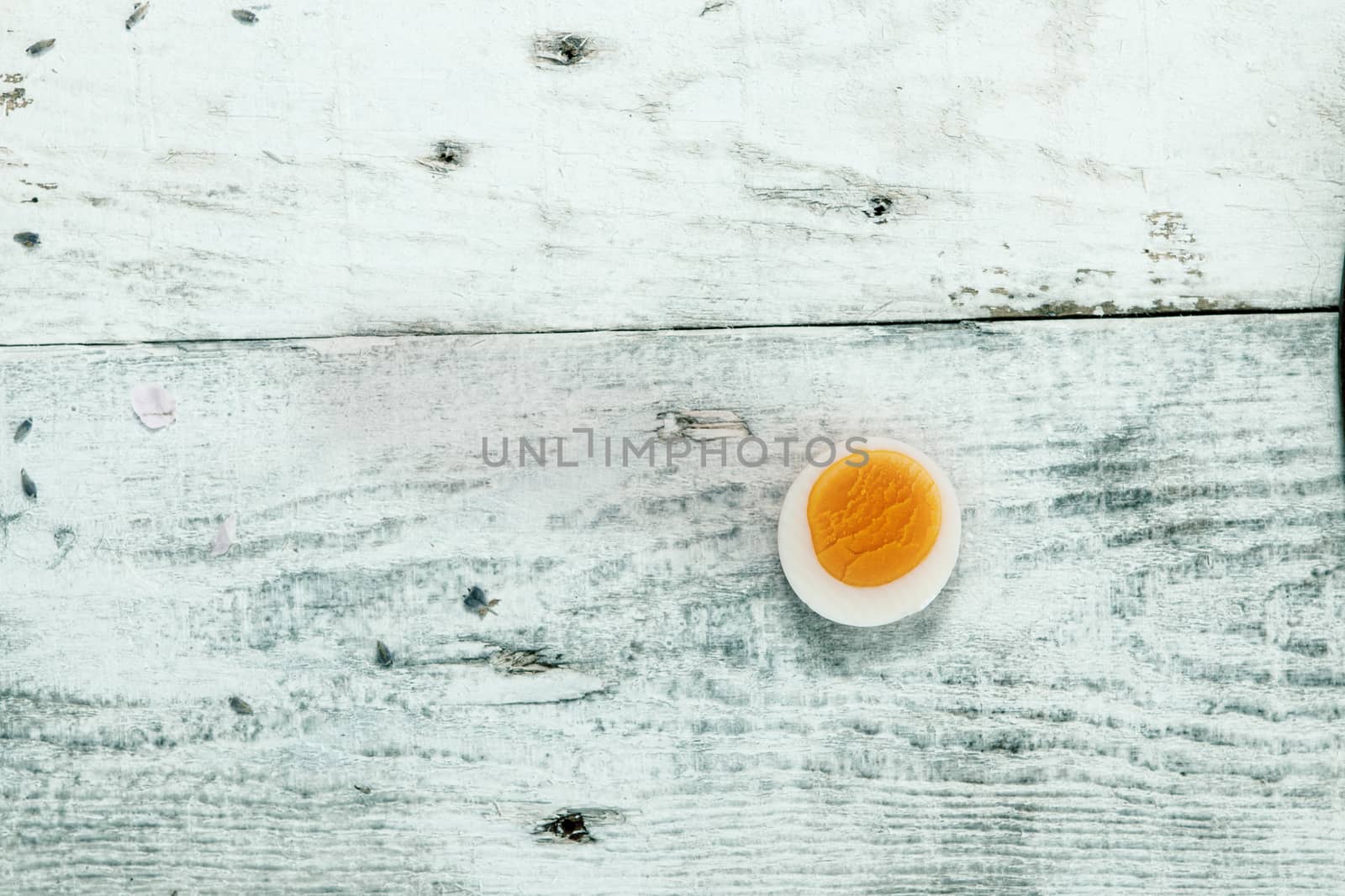 colored easter egg on wood background with copy space