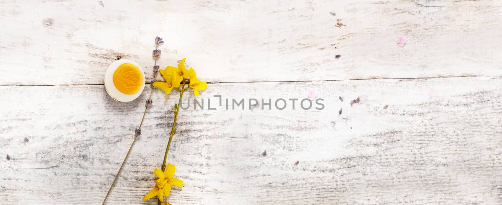 yellow flowers on white wood board by PeterHofstetter