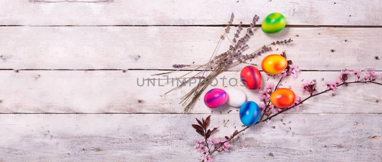 colored easter egg on wood background with copy space