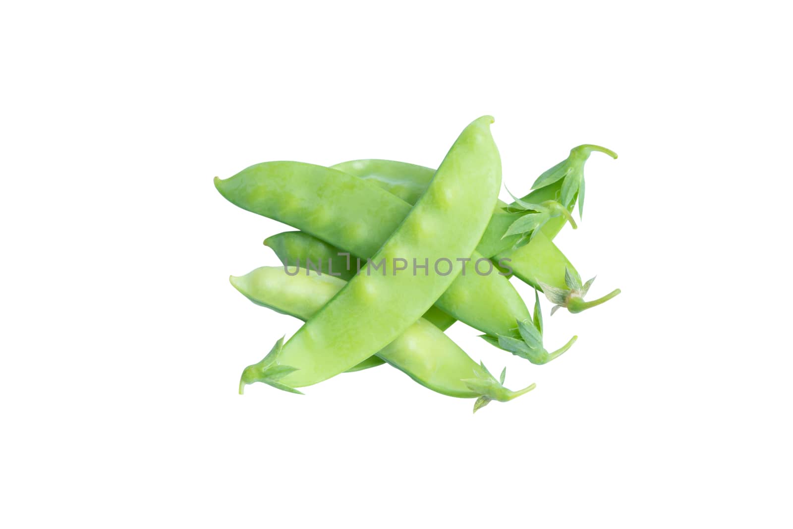 Sugar Pea, Snow peas isolated on white background with clipping path
