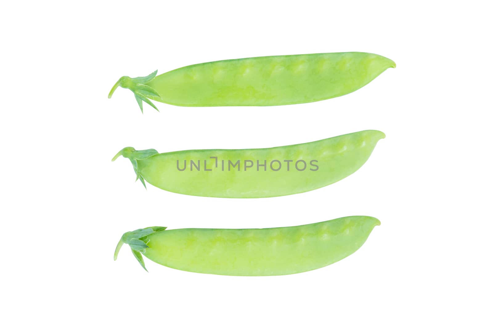 Sugar Pea, Snow peas isolated on white background with clipping path
