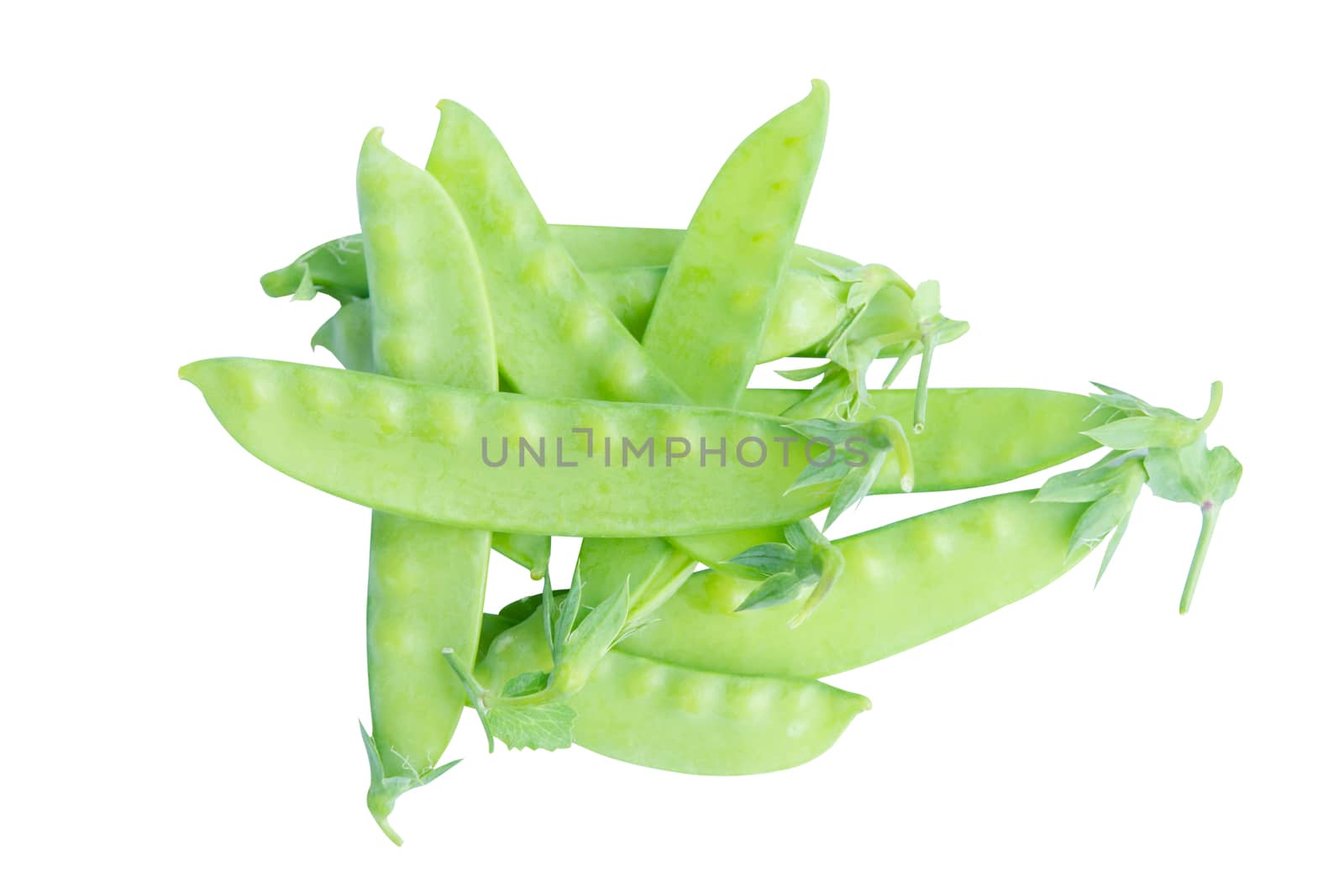 Sugar Pea, Snow peas isolated on white background with clipping path
