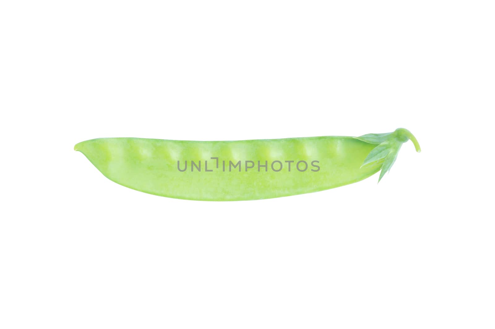 Sugar Pea, Snow peas isolated on white background with clipping path
