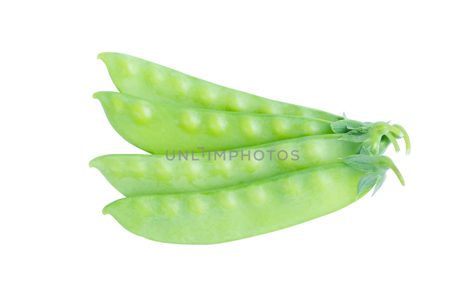 Sugar Pea, Snow peas isolated on white background with clipping path
