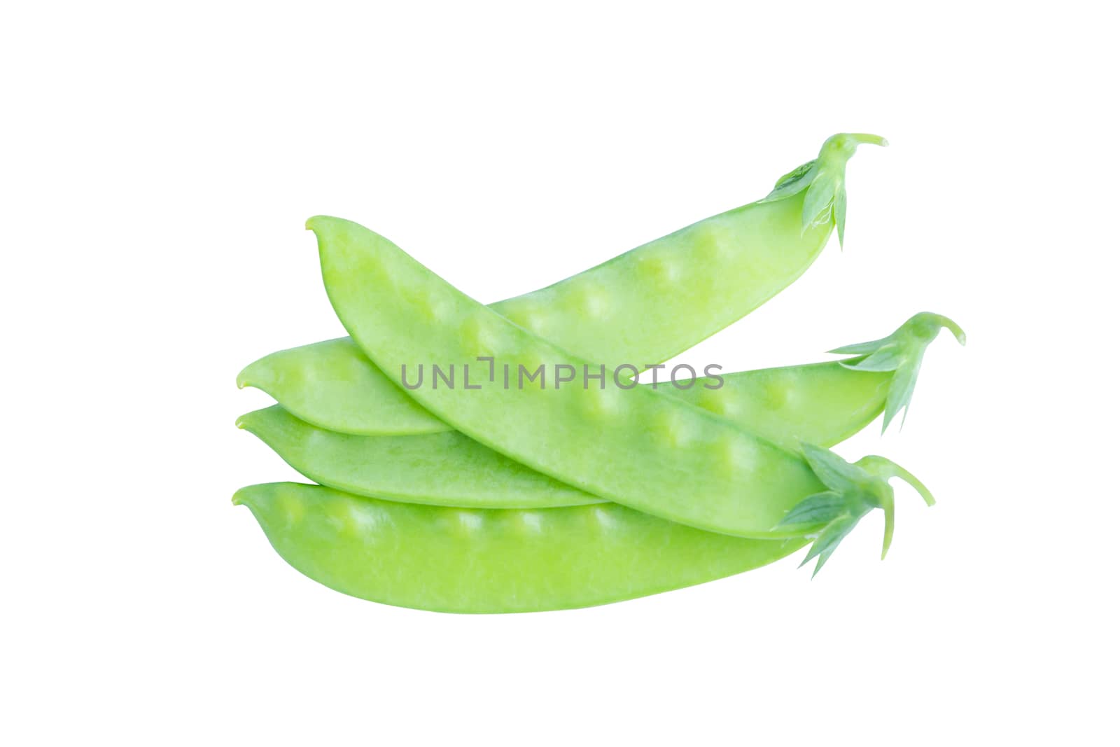 Sugar Pea, Snow peas isolated on white background with clipping path
