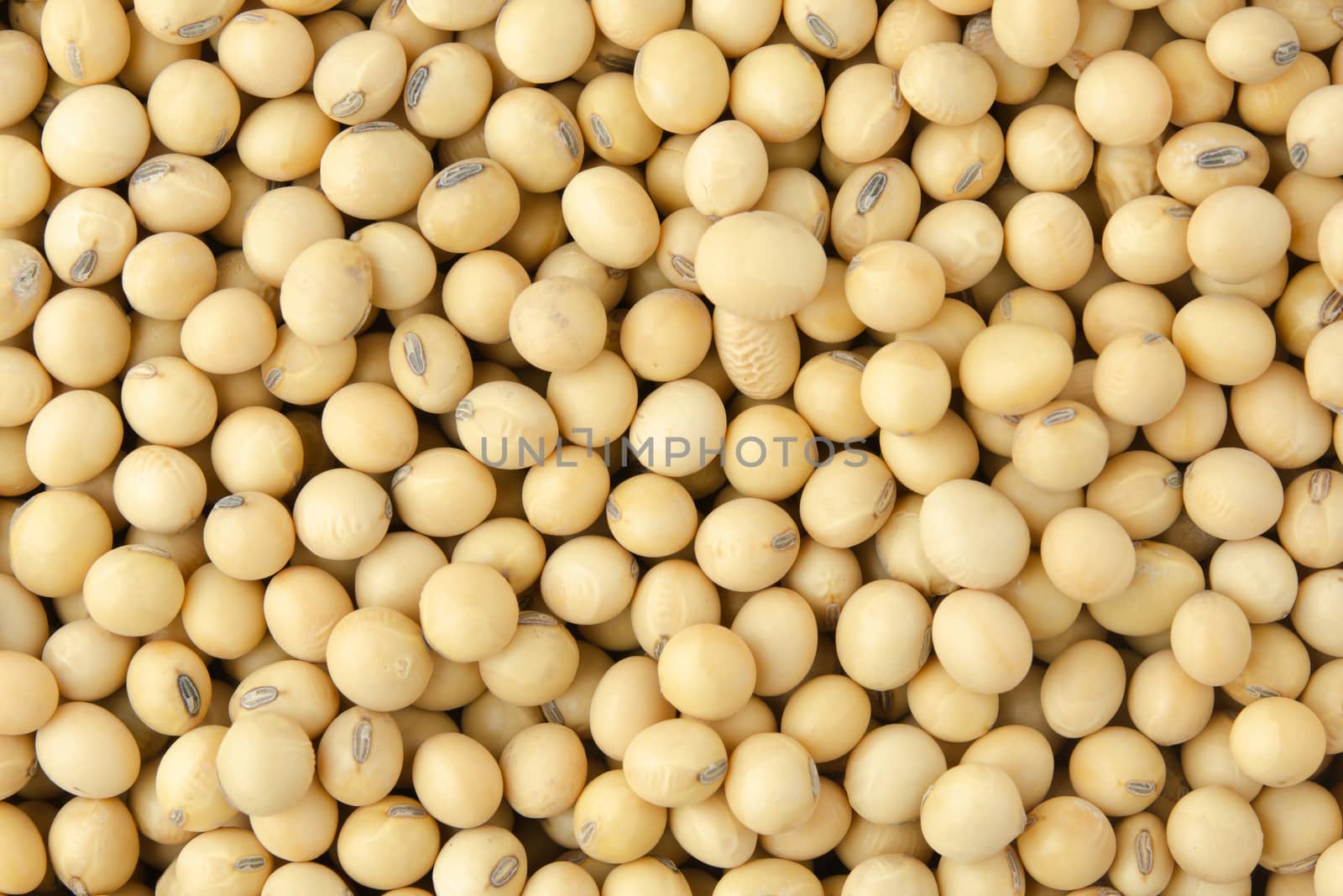Soybean pattern as for background
