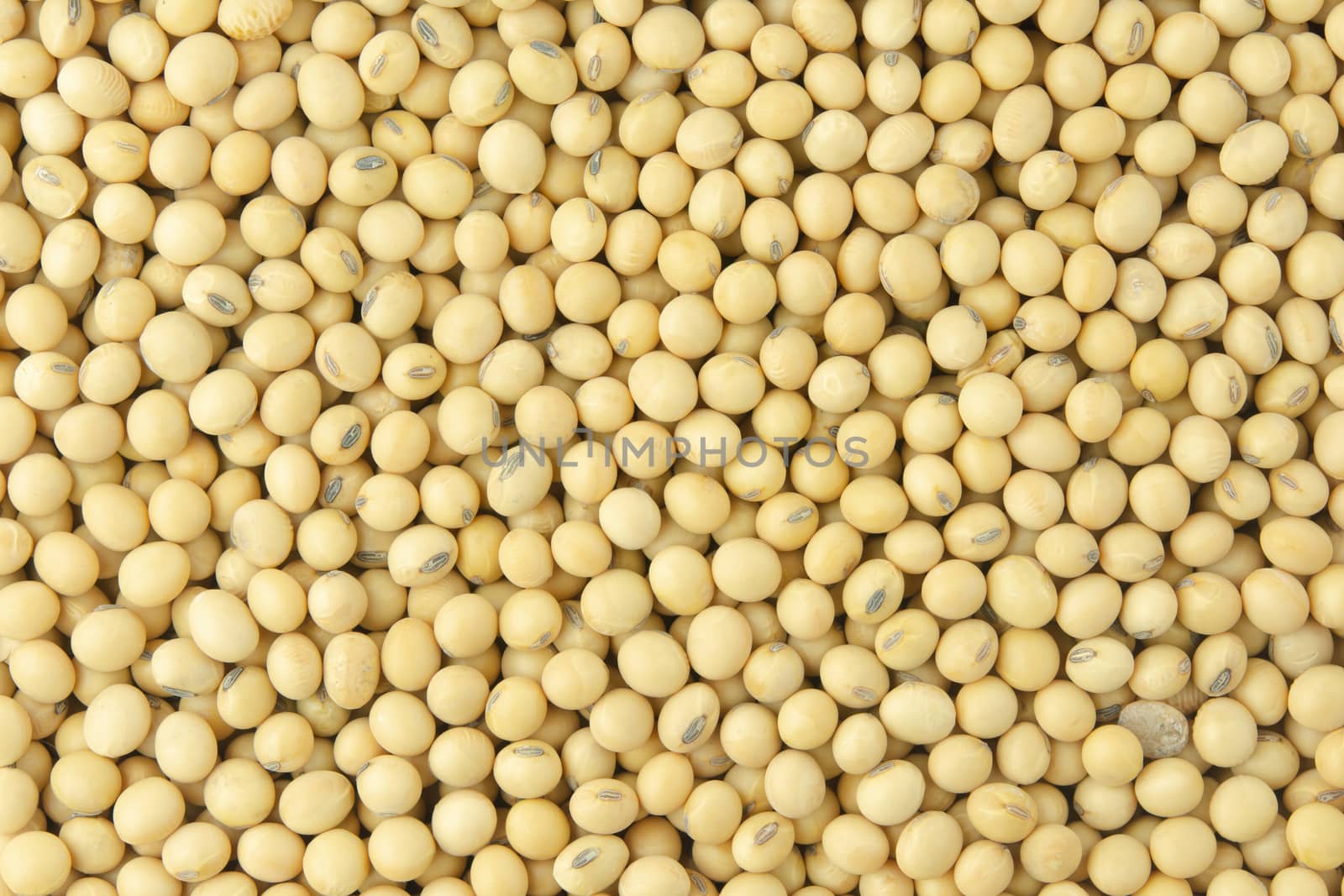 Soybean pattern as for background
