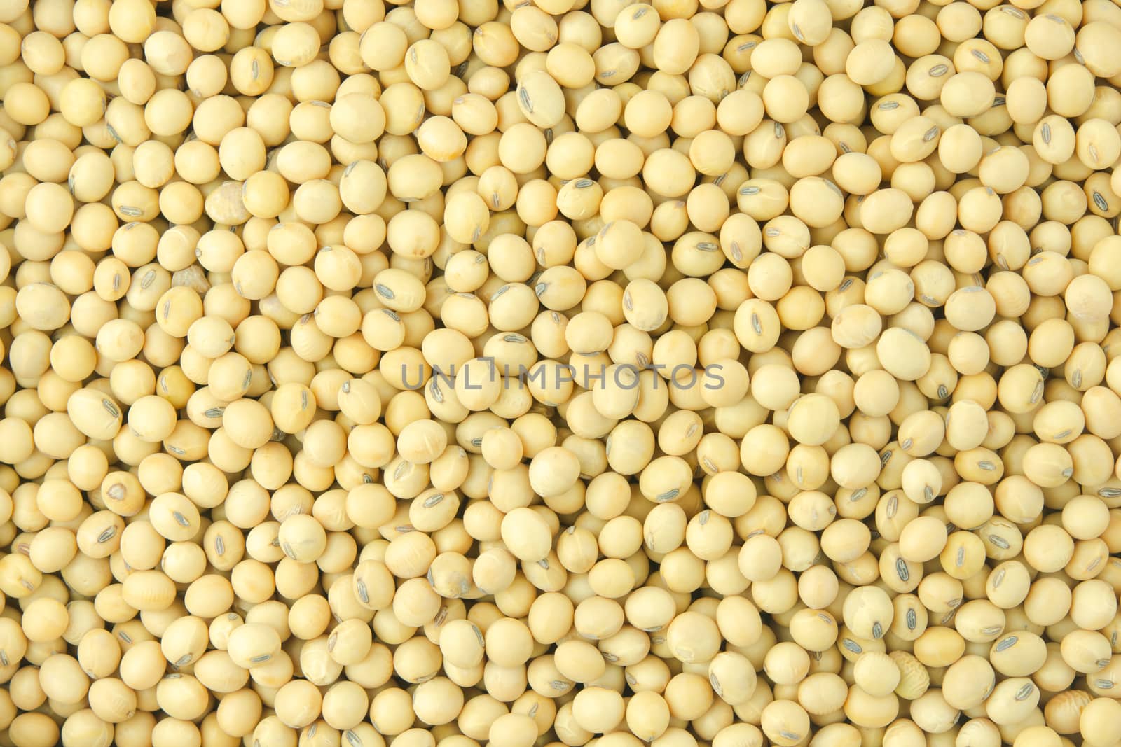 Soybean pattern as for background
