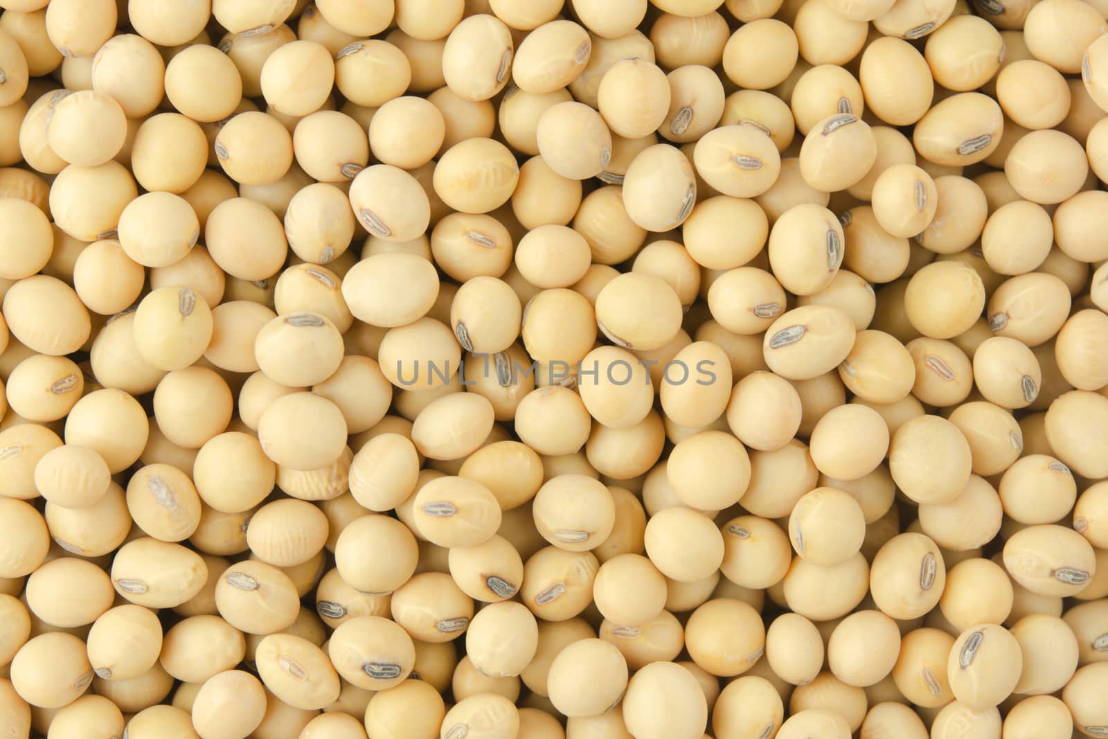 Soybean pattern as for background
