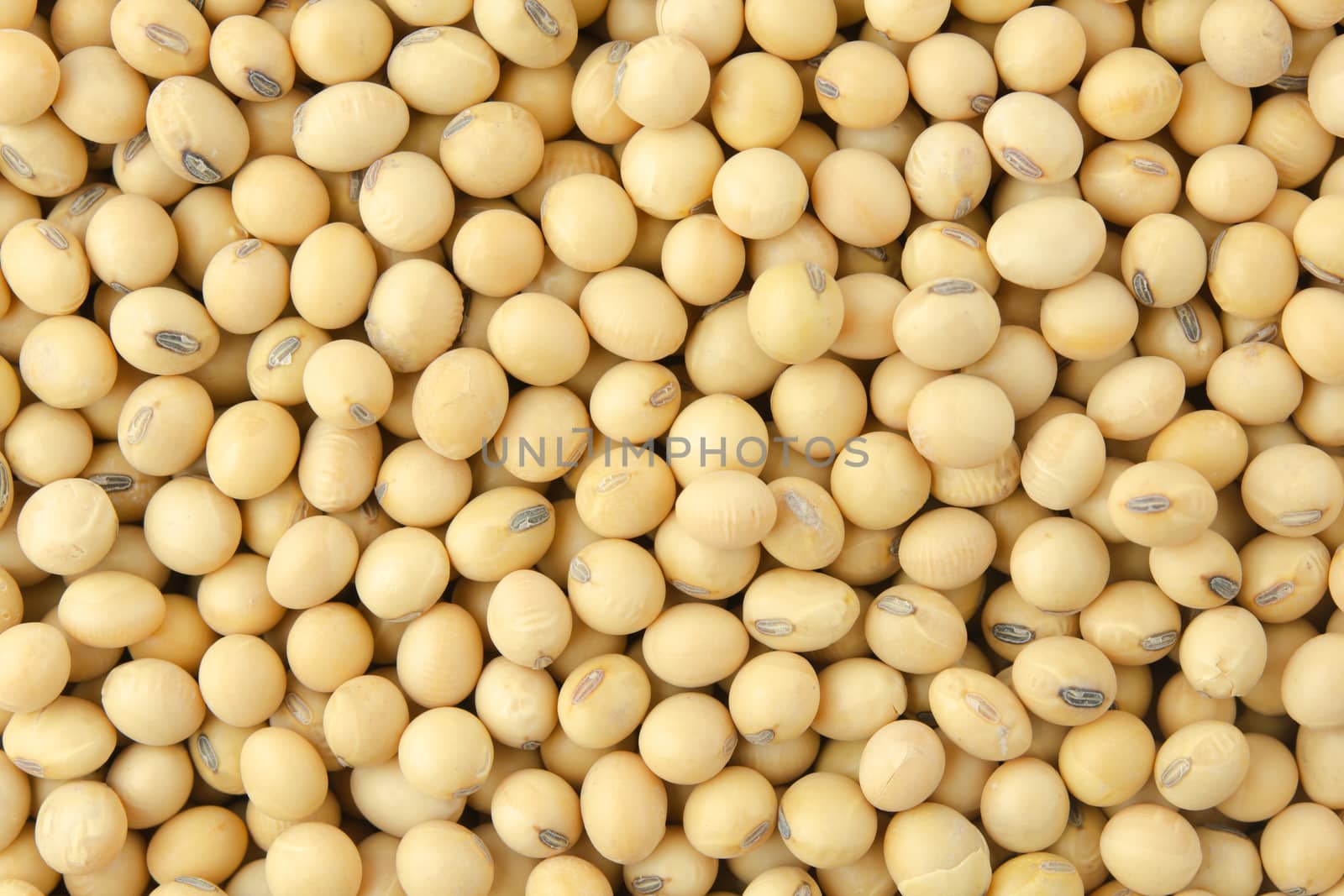 Soybean pattern as for background
