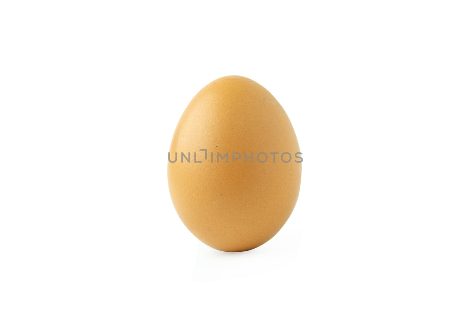 chicken egg isolated on white background with clipping path
