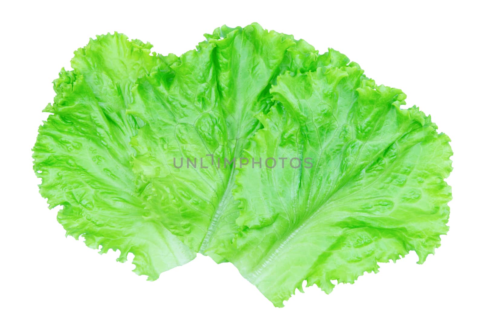 Salad leaf. Lettuce isolated on white background with clipping p by sunnygb5