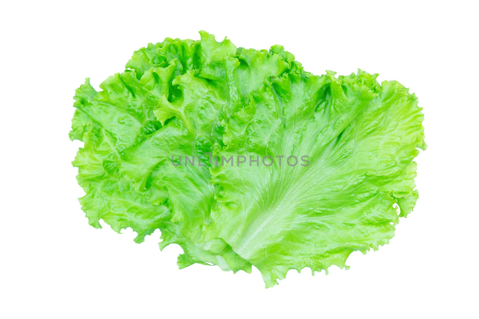 Salad leaf. Lettuce isolated on white background with clipping p by sunnygb5