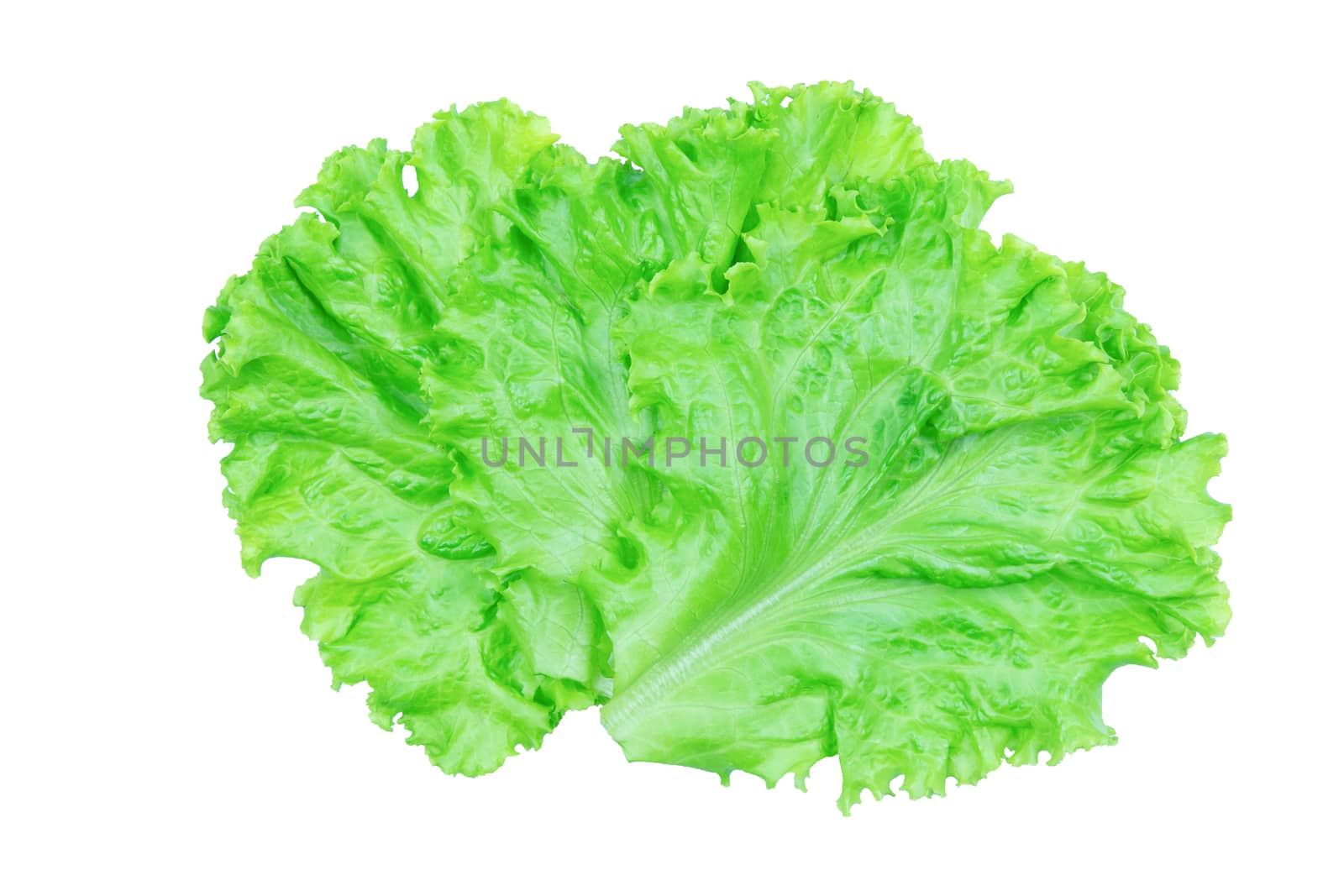 Salad leaf. Lettuce isolated on white background with clipping p by sunnygb5