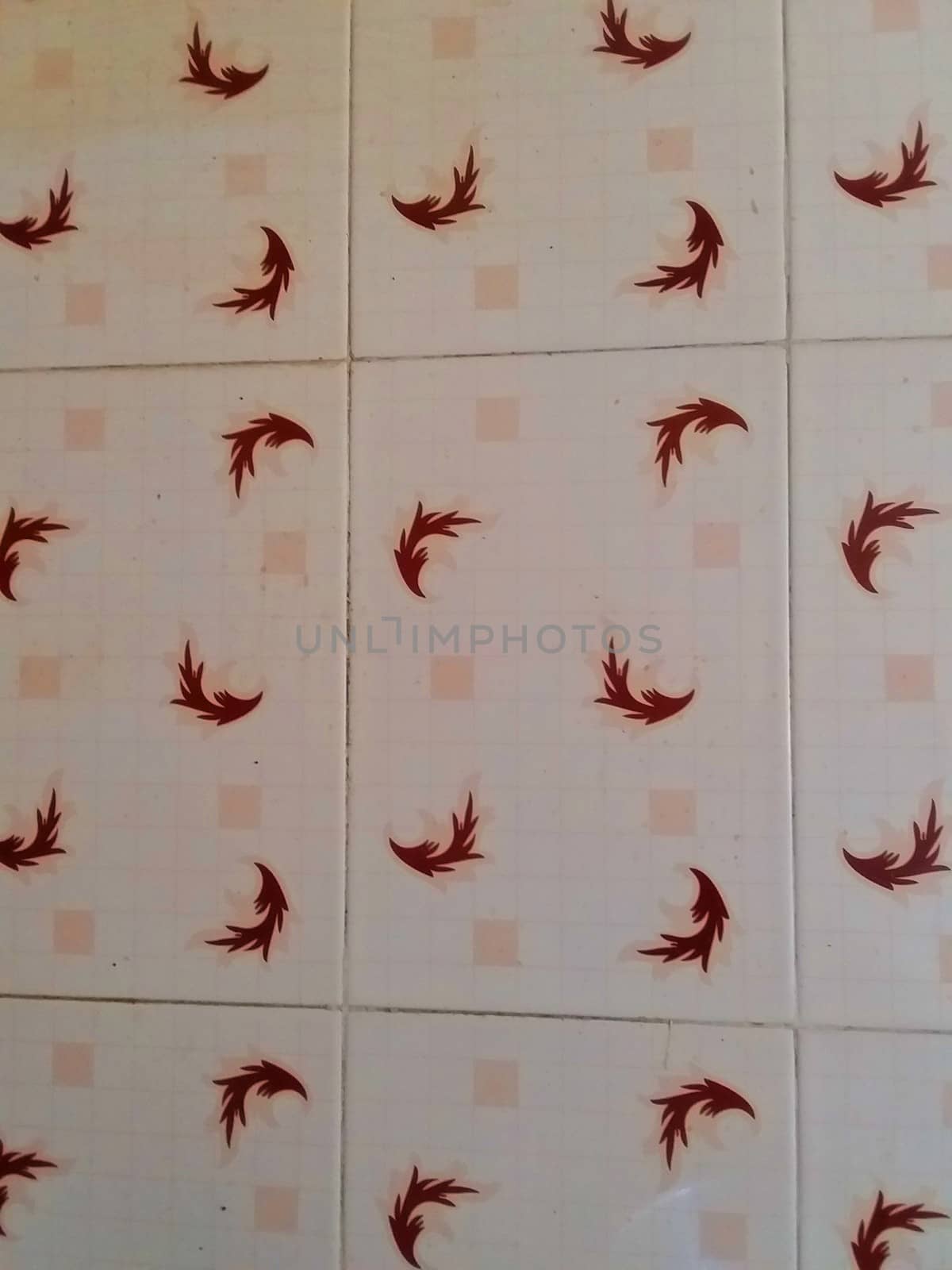tiles on  the wall